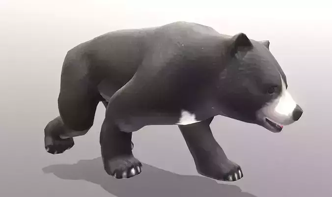 YOUNG BLACK BEAR WALKING Fbx Pbr Animated
