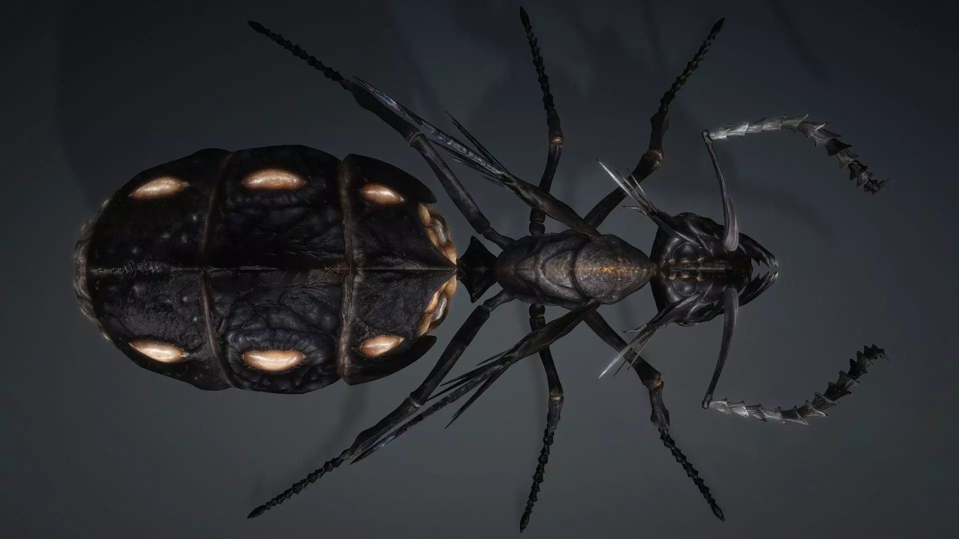 Ant Monster-V1b 3D model_12