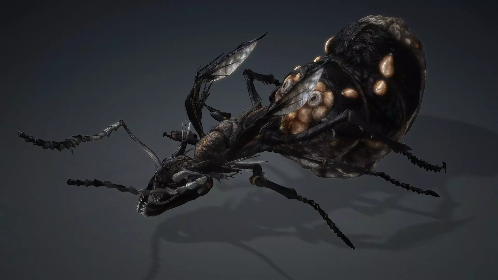 Ant Monster-V1b 3D model_5