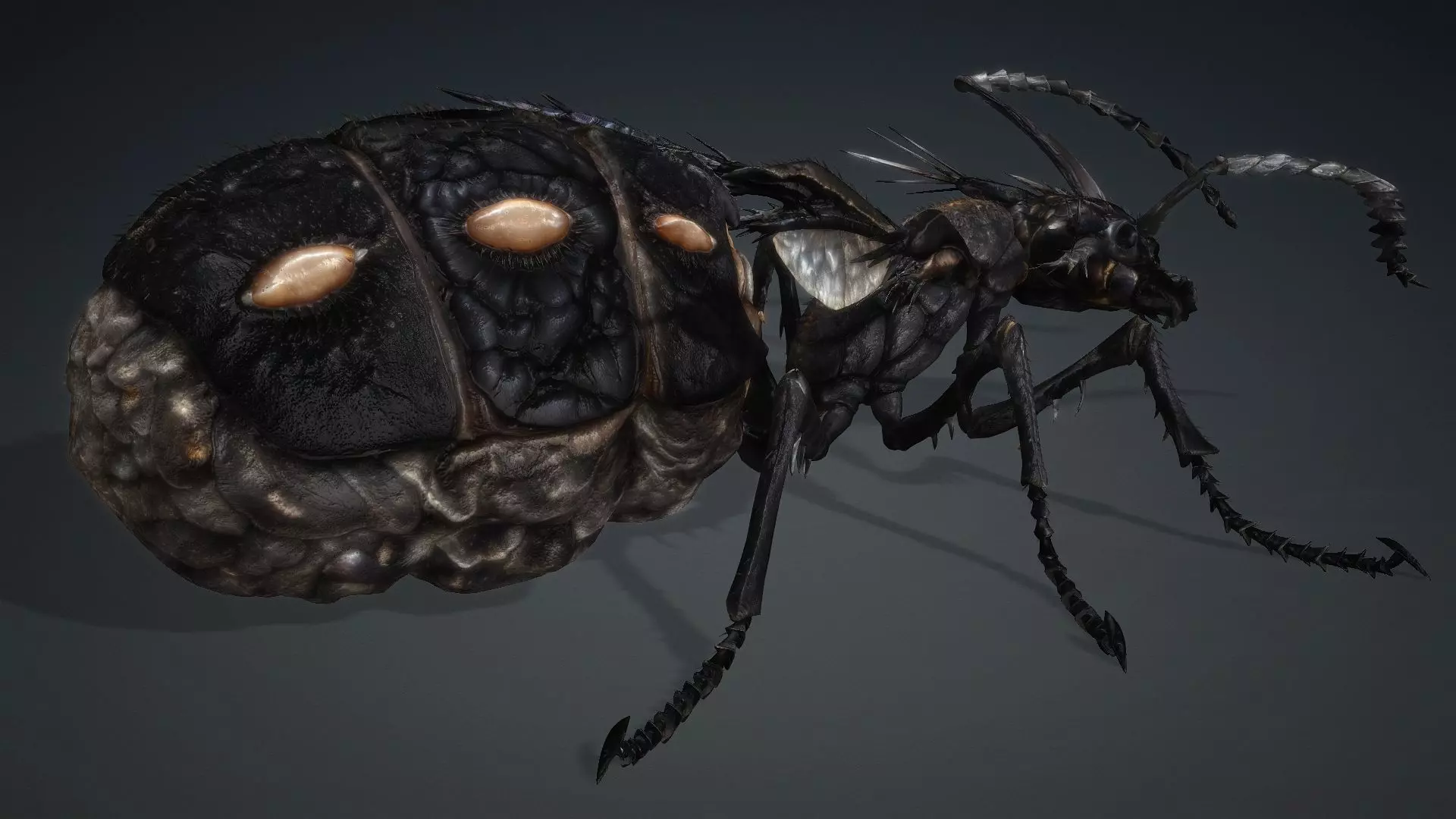 Ant Monster-V1b 3D model_13