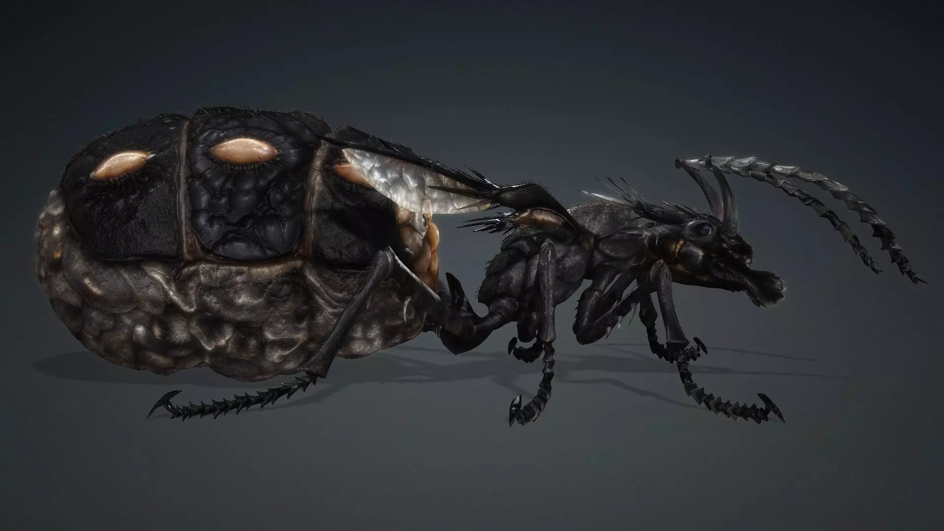 Ant Monster-V1b 3D model_3