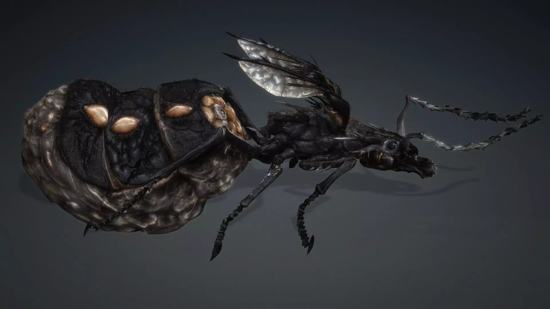 Ant Monster-V1b 3D model_4