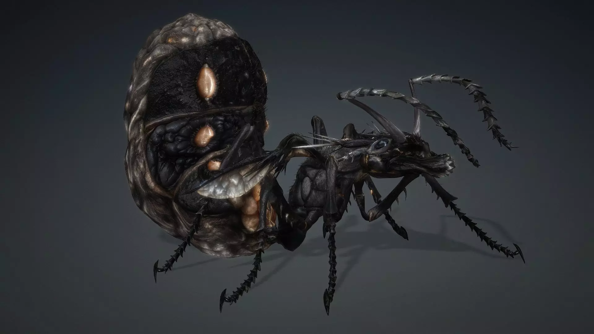 Ant Monster-V1b 3D model_17