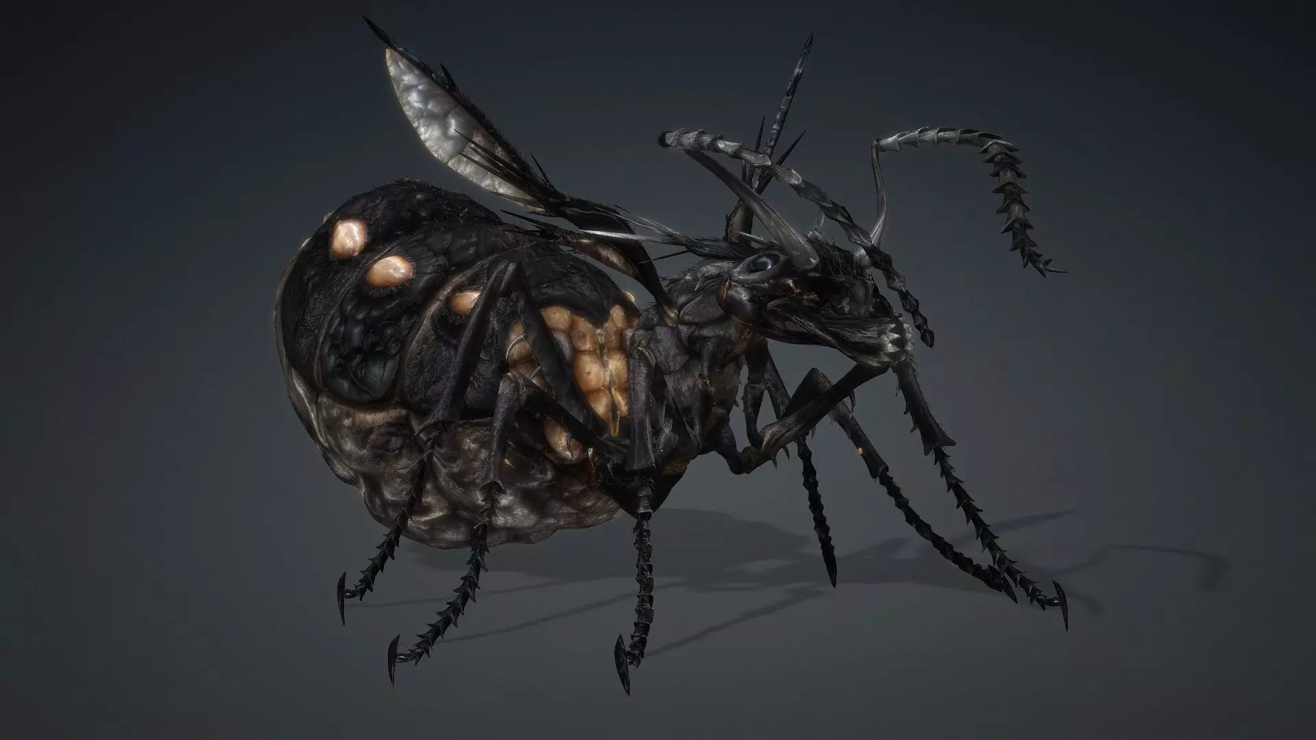 Ant Monster-V1b 3D model_15