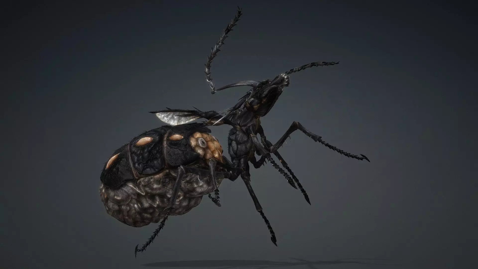 Ant Monster-V1b 3D model_7