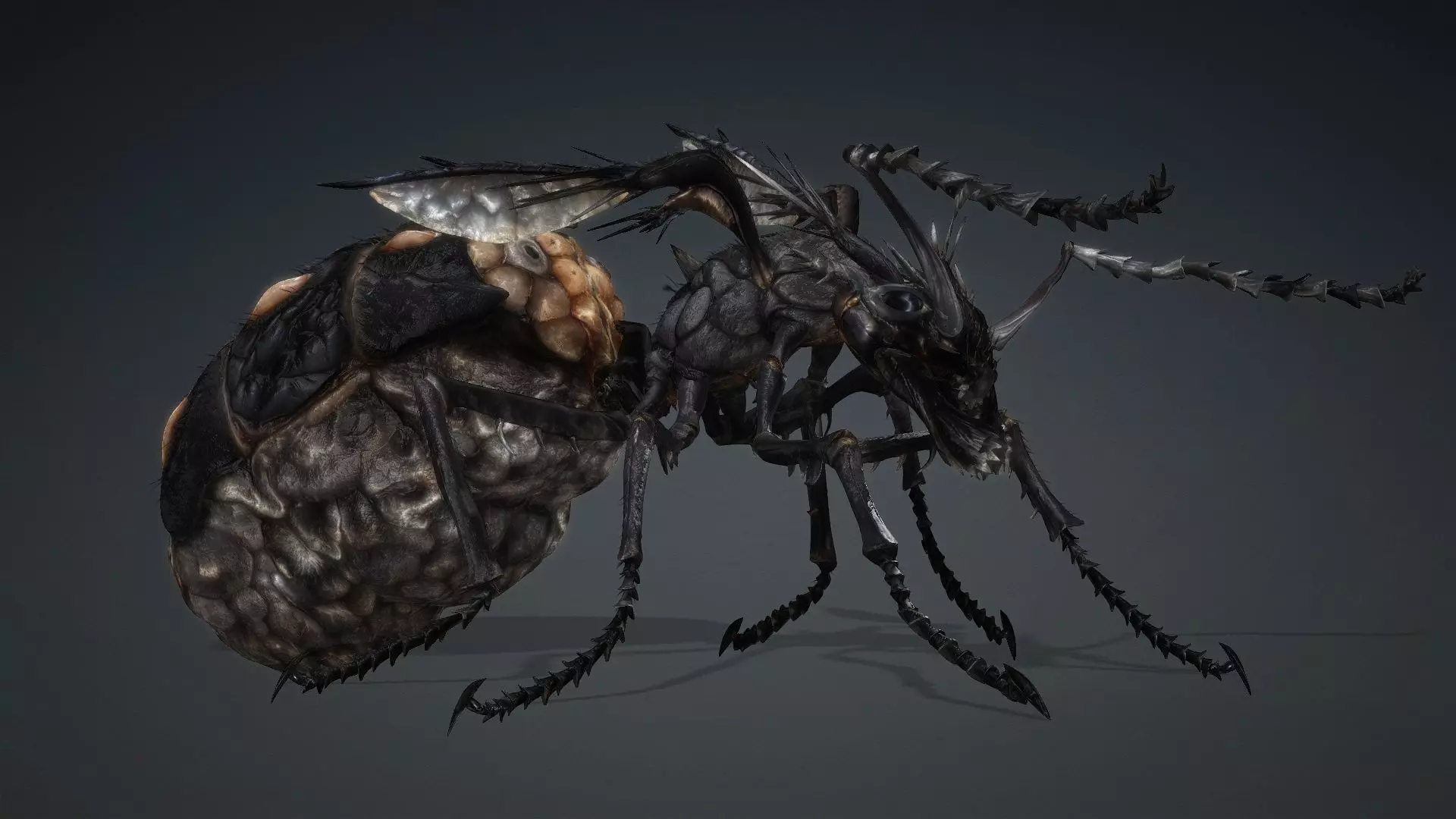 Ant Monster-V1b 3D model_9