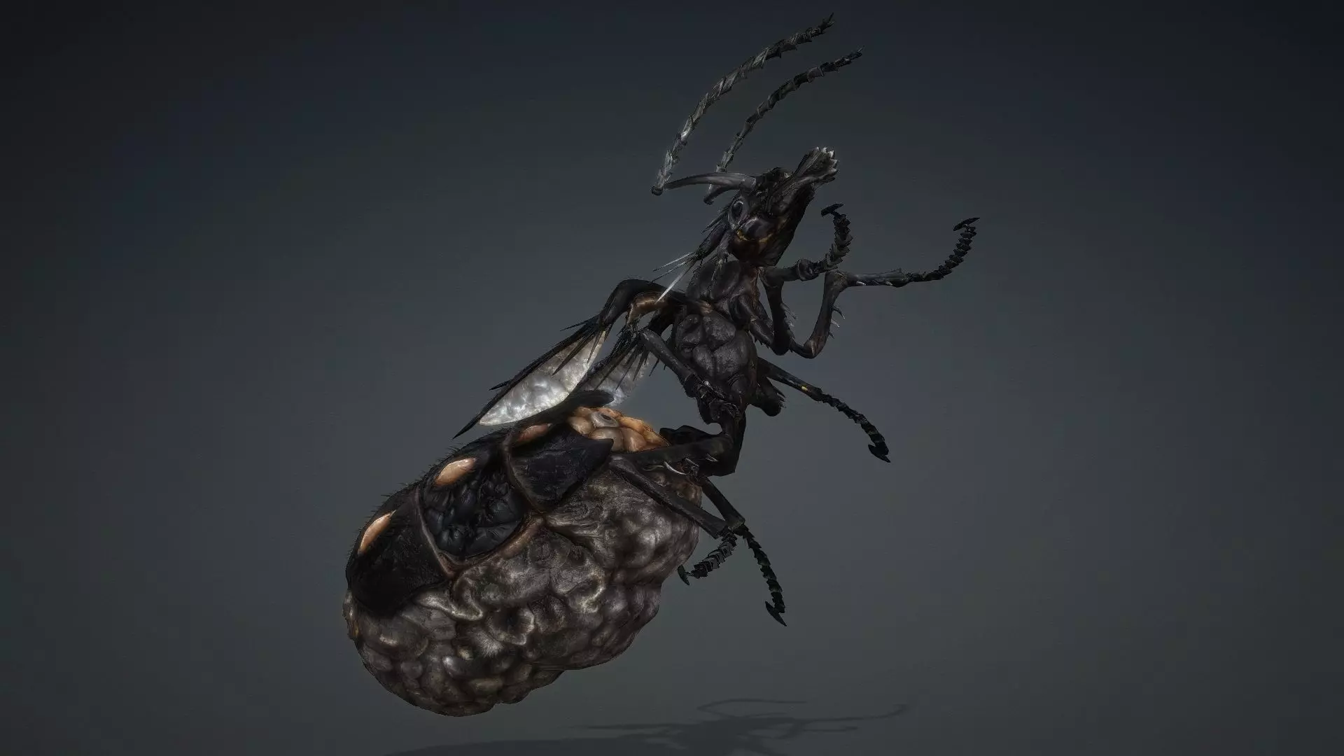 Ant Monster-V1b 3D model_6