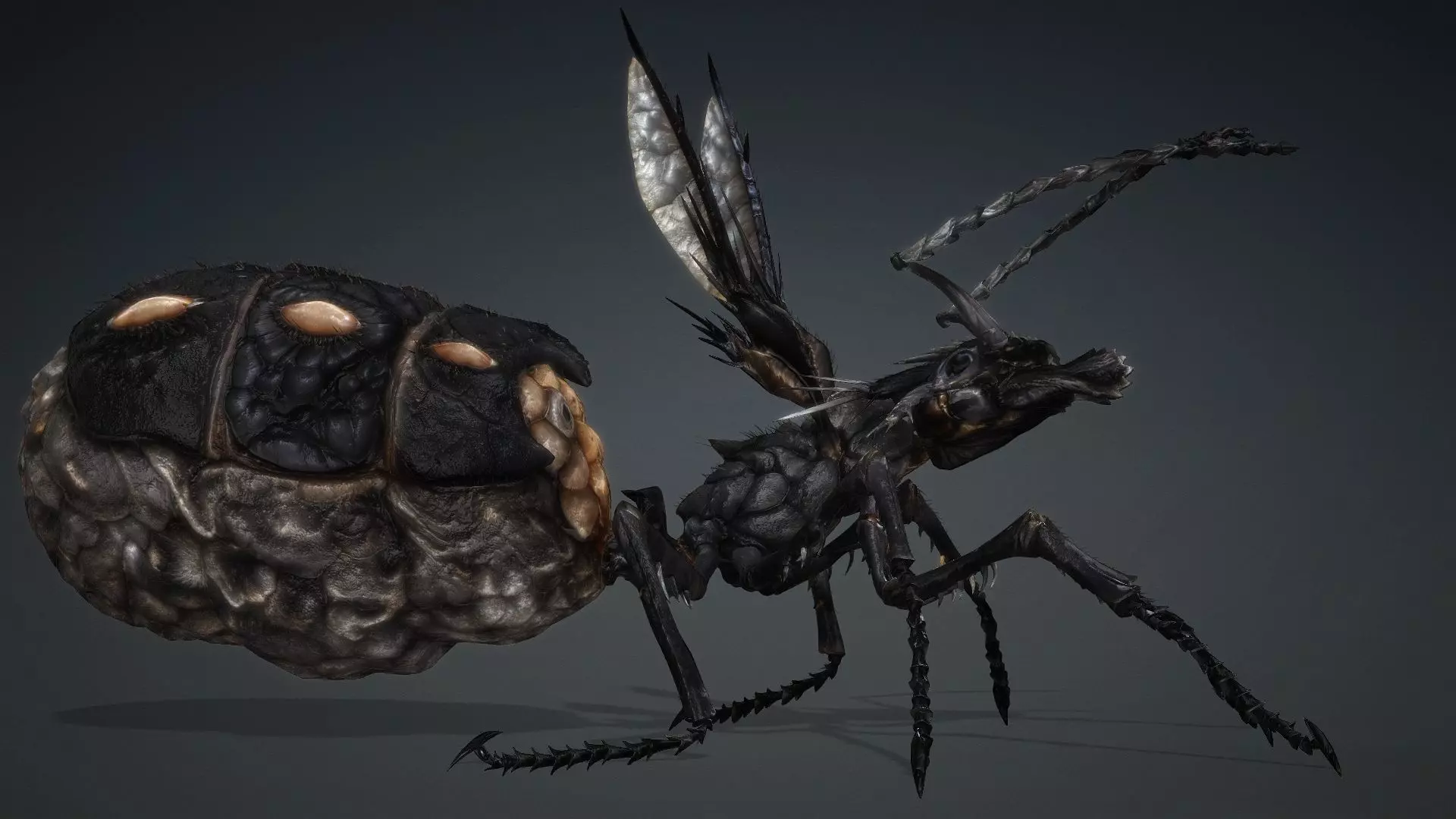 Ant Monster-V1b 3D model_8
