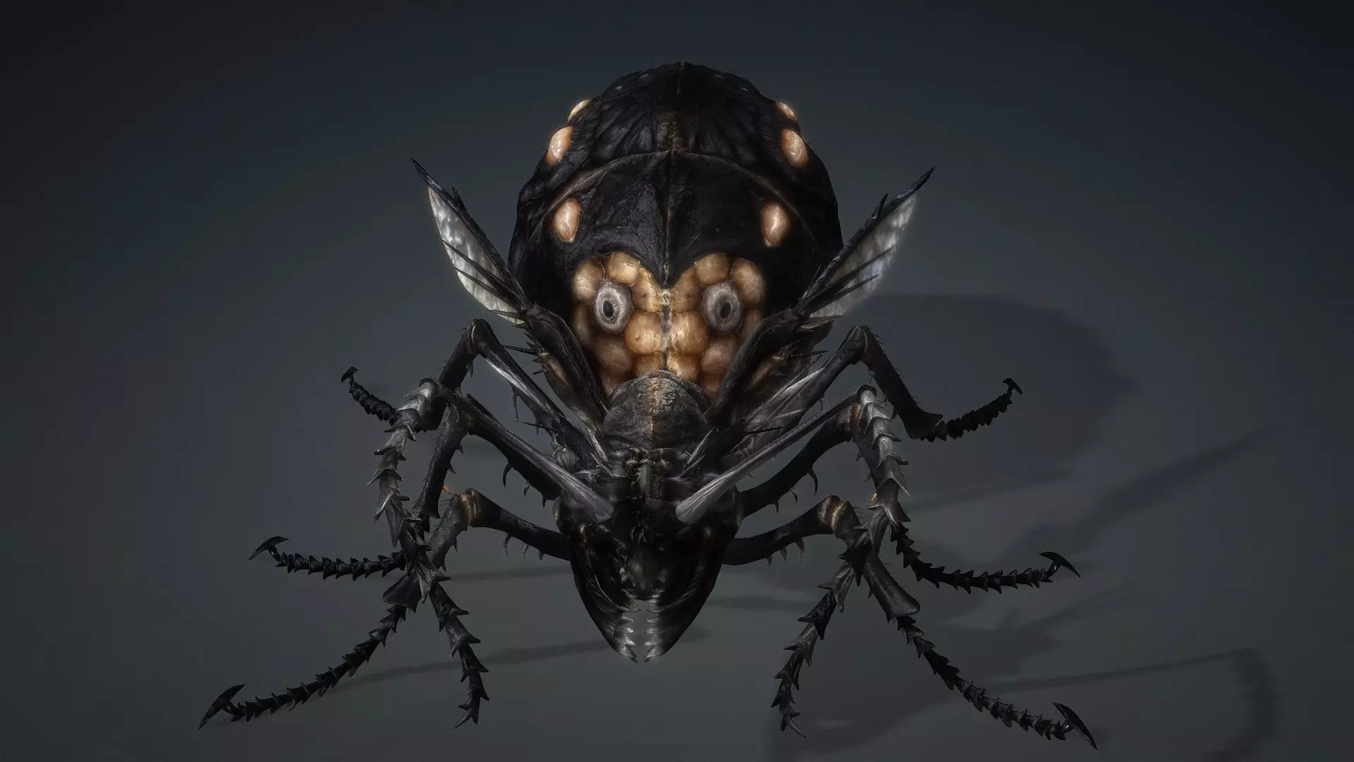 Ant Monster-V1b 3D model_14