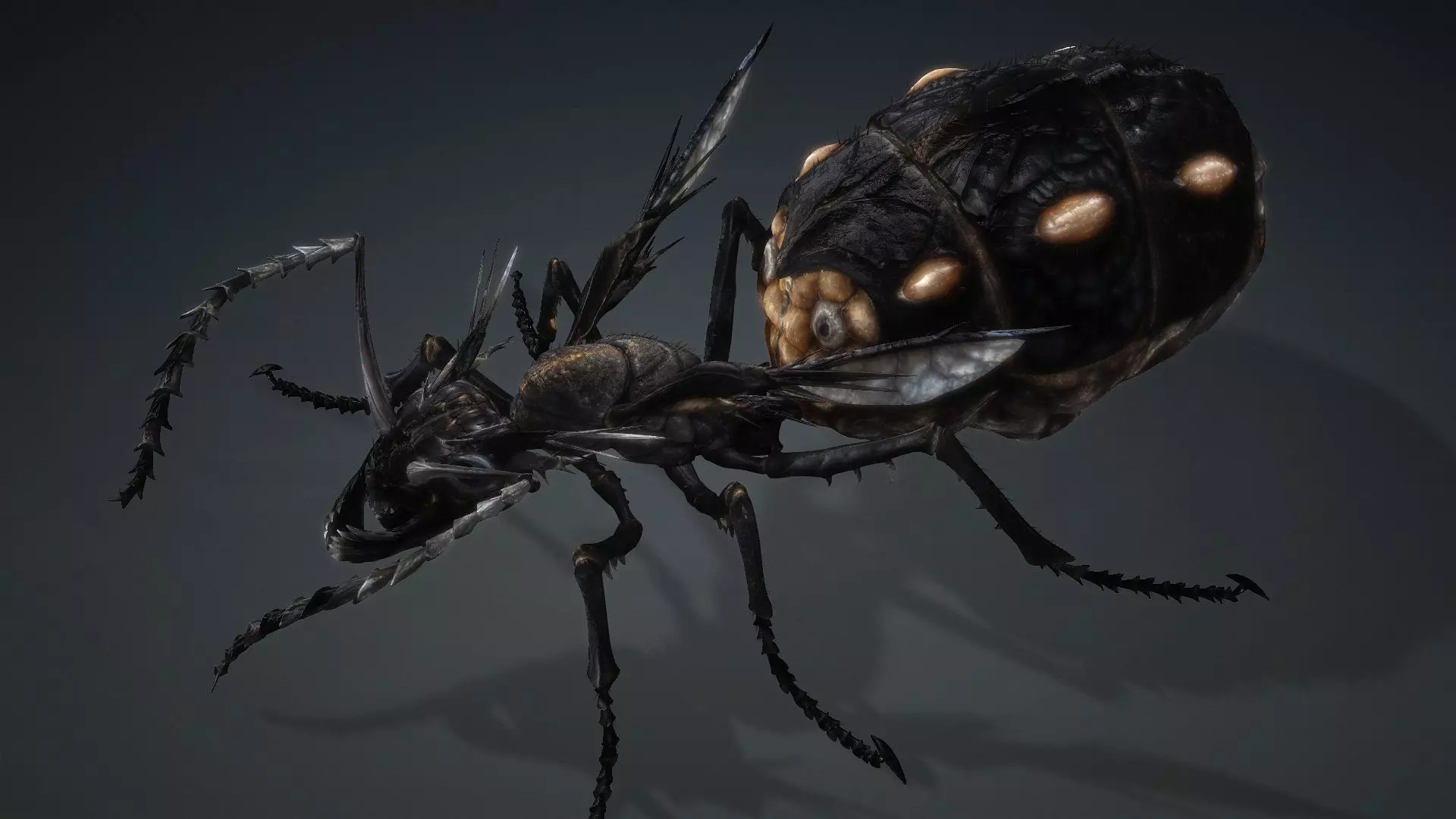 Ant Monster-V1b 3D model_10