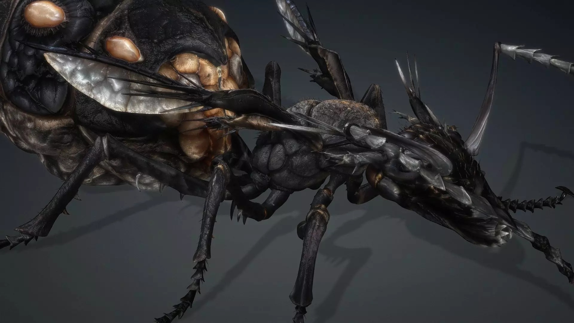 Ant Monster-V1b 3D model_11