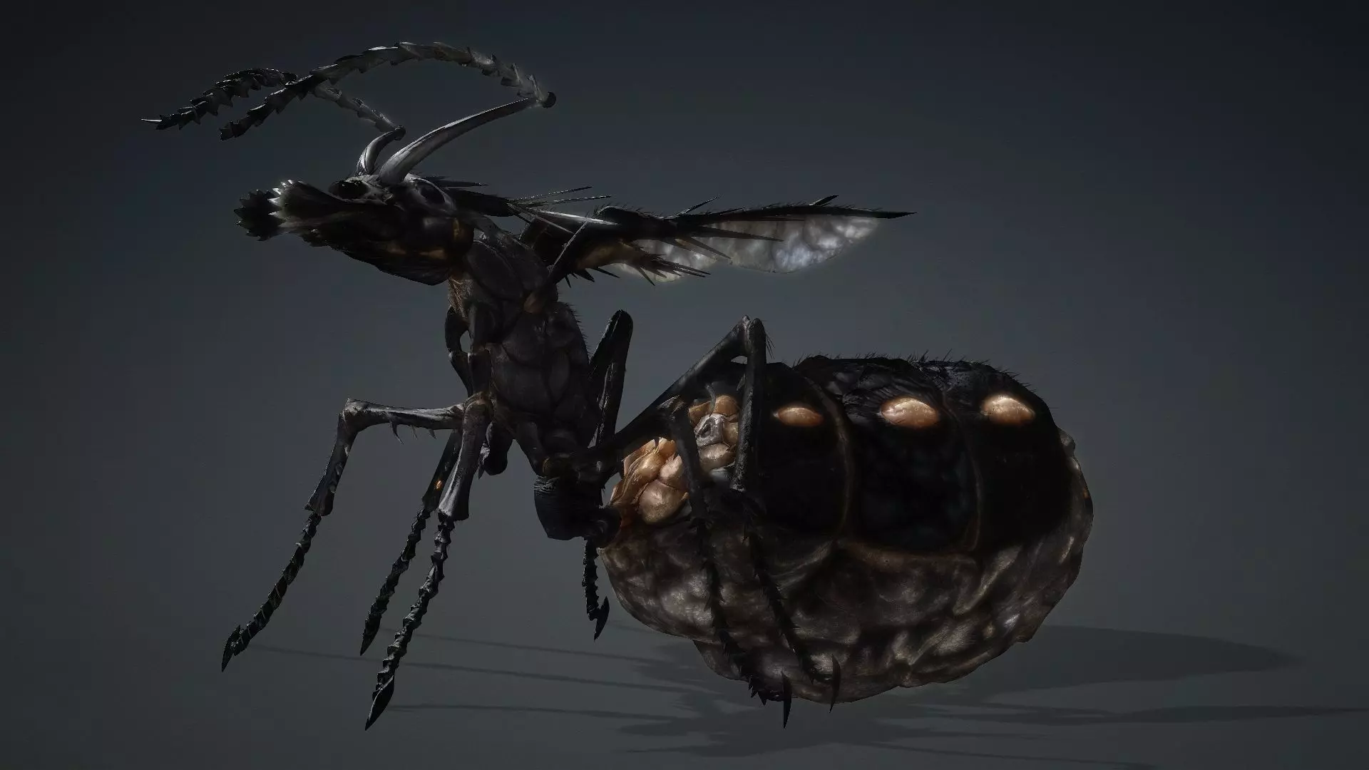 Ant Monster-V1b 3D model_16
