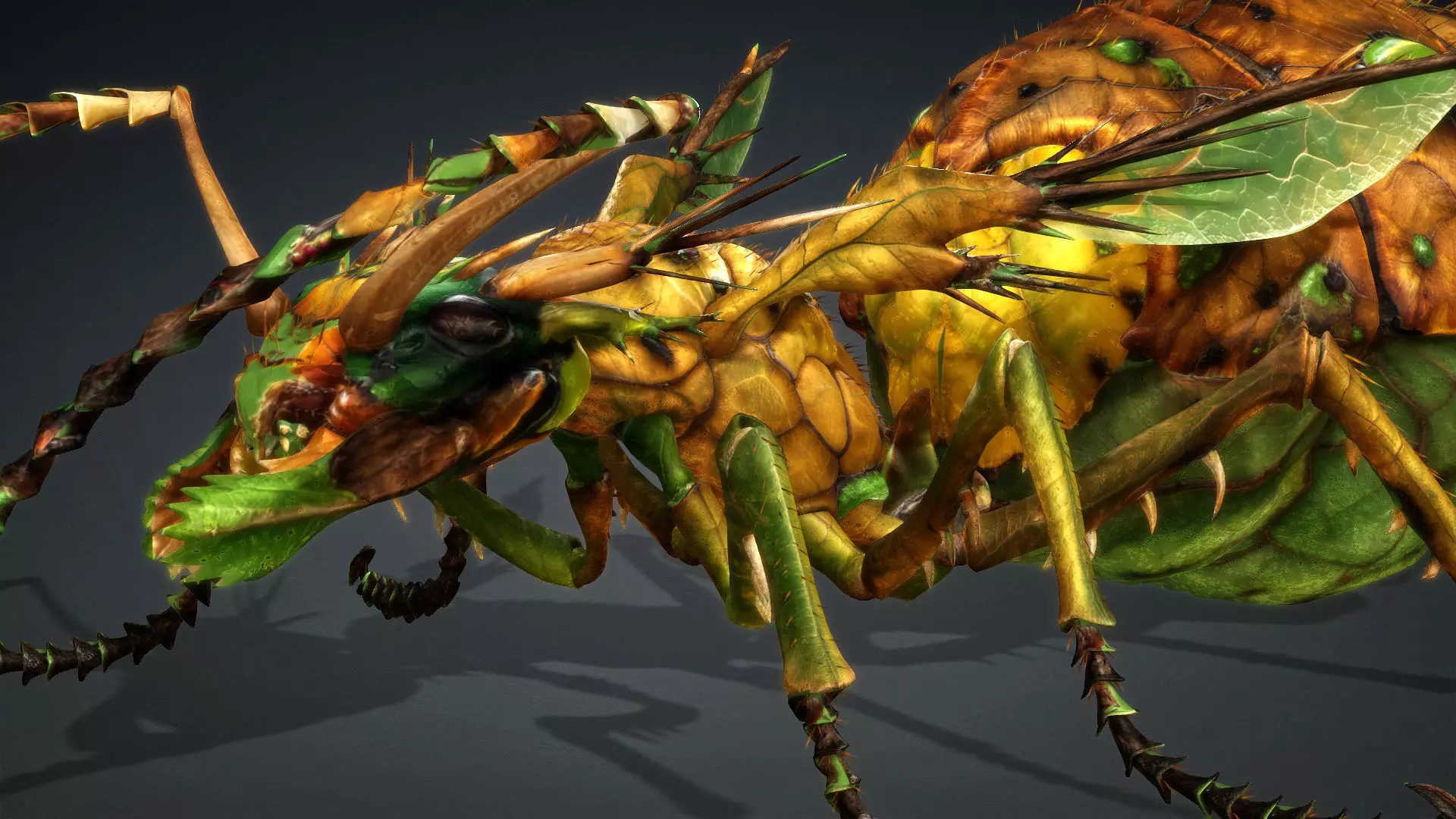 Ant Monster-V1d 3D model_11