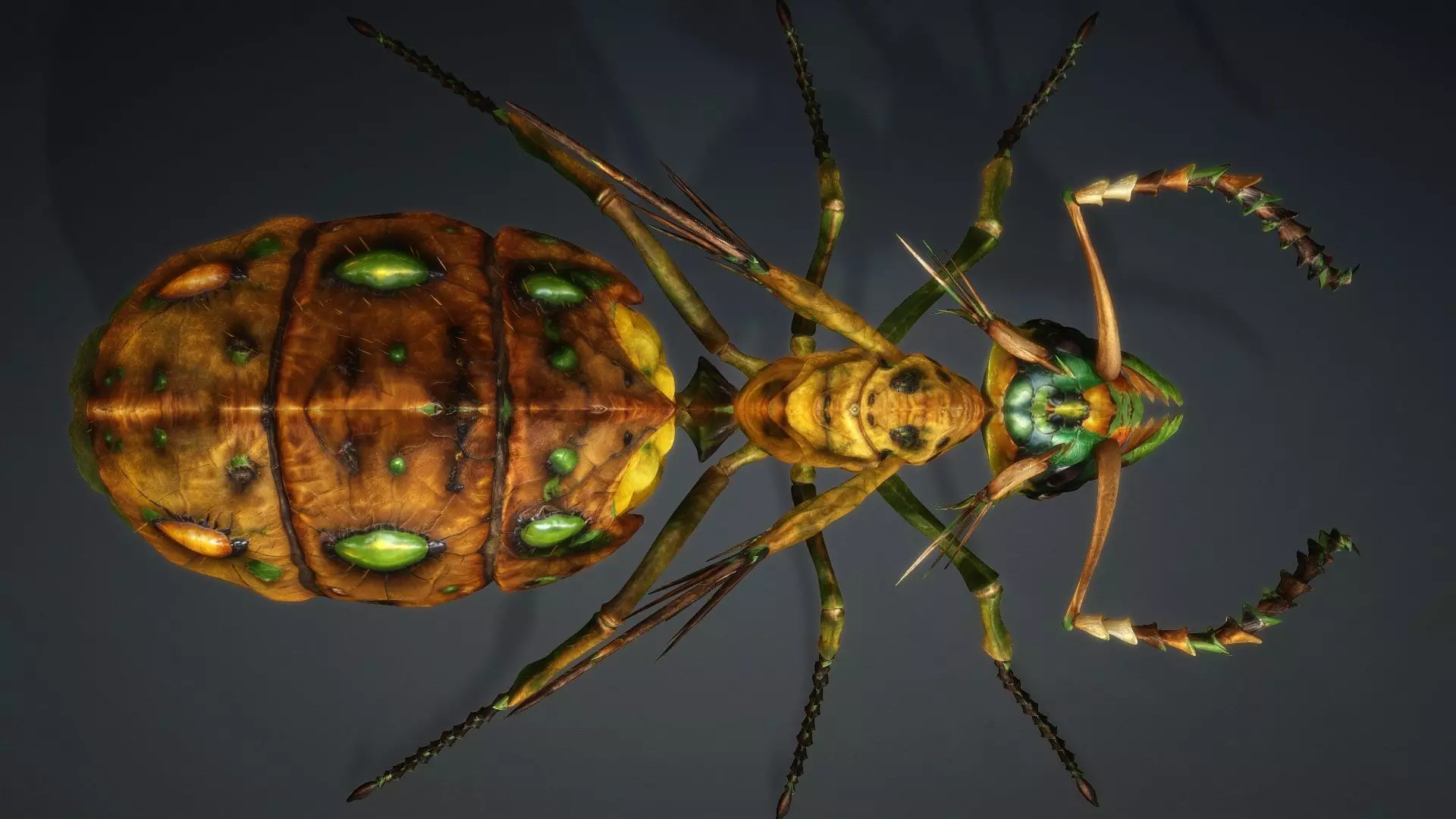 Ant Monster-V1d 3D model_12