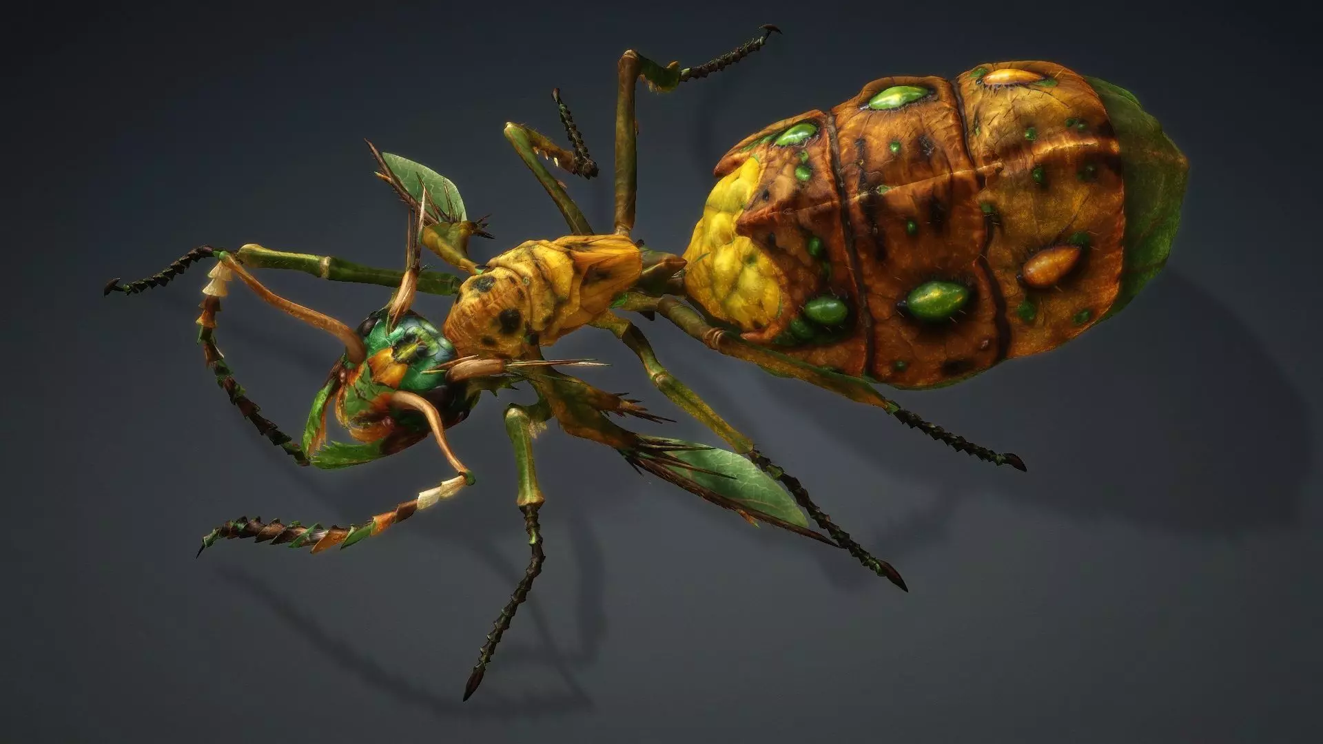 Ant Monster-V1d 3D model_5