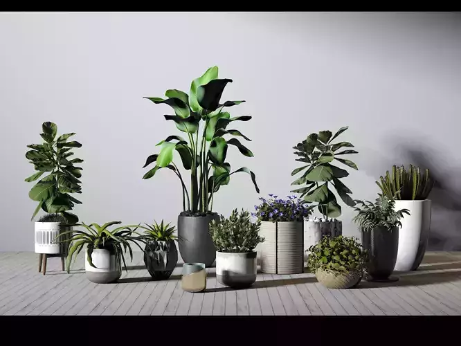 Modern Plants
