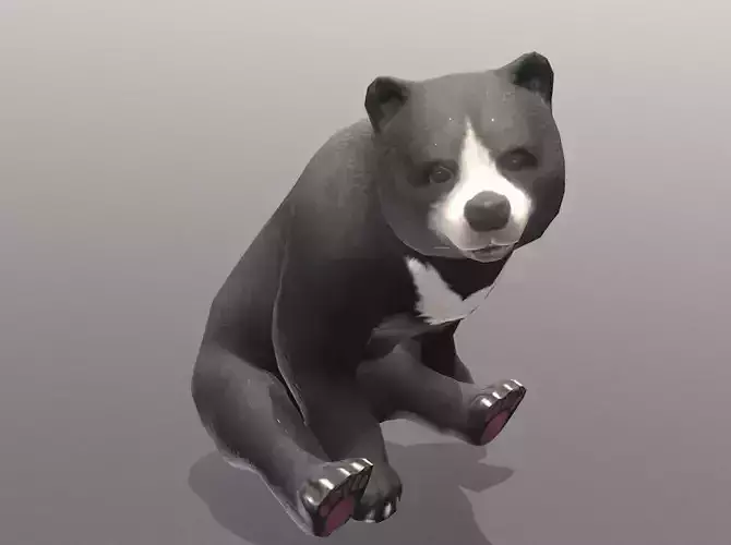 BLACK BEAR SITTING OBSERVING Fbx Pbr Animated