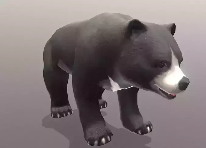 Young BLACK BEAR IDLE Fbx Pbr Animated