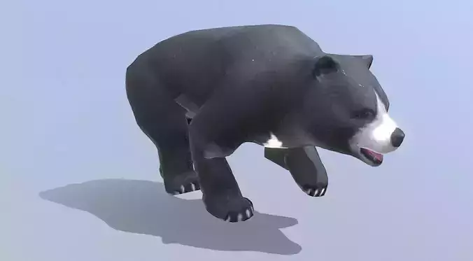 BLACK BEAR RUNNING Fbx Pbr Animated