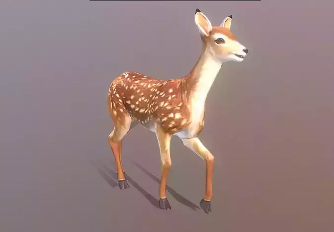 LITTLE DEER TROT Walk Fbx Png Animated