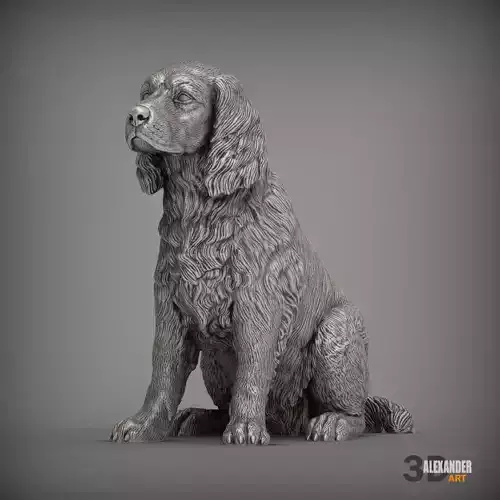 English Springer Spaniel sitting