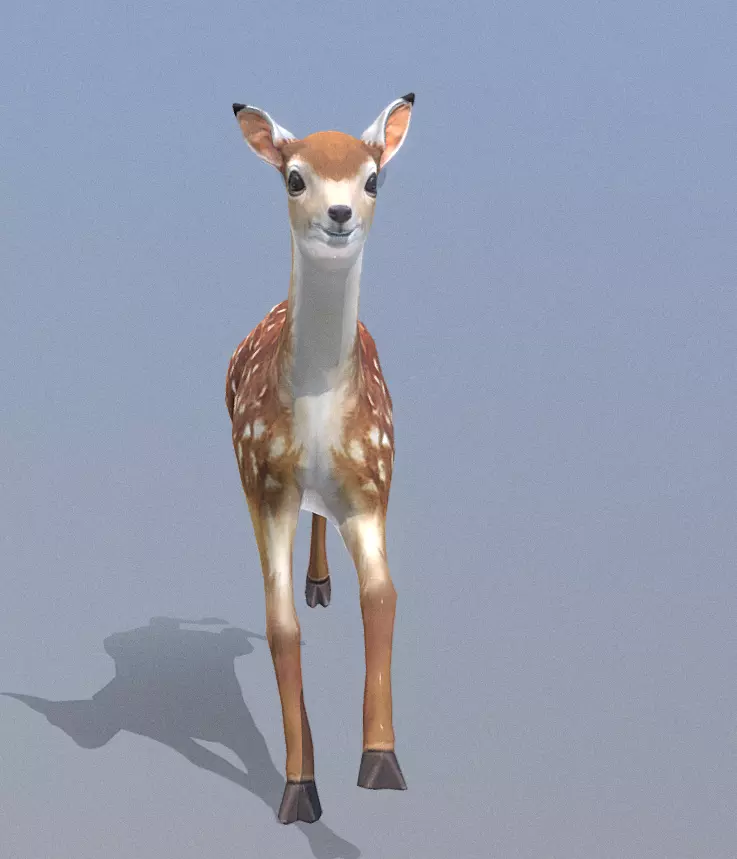 LITTLE DEER RUNNING Fbx Pbr Animated 3D model_2