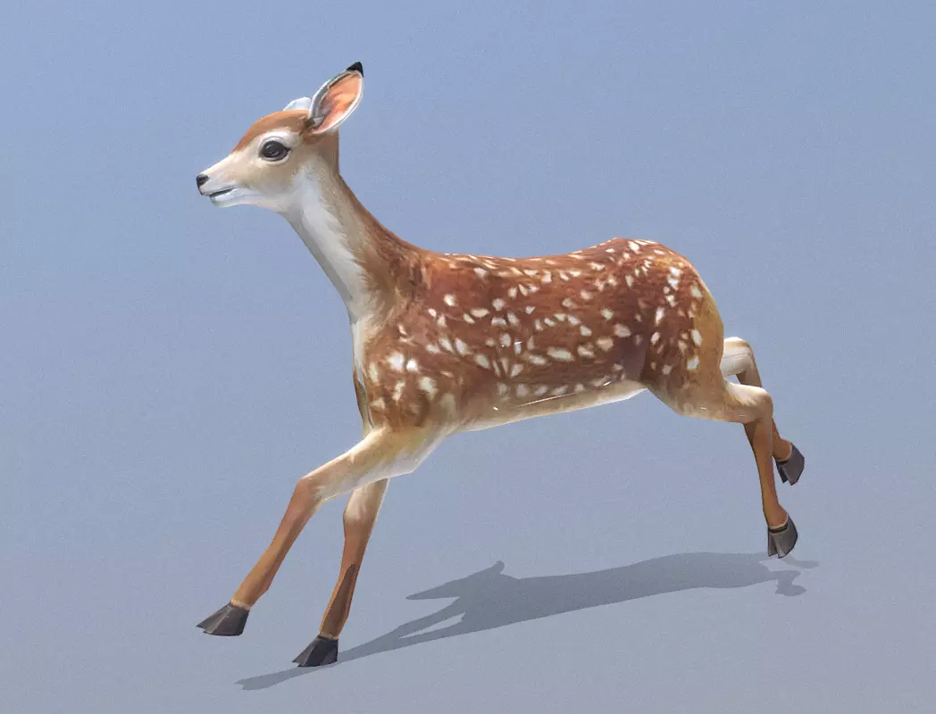 LITTLE DEER RUNNING Fbx Pbr Animated 3D model_1