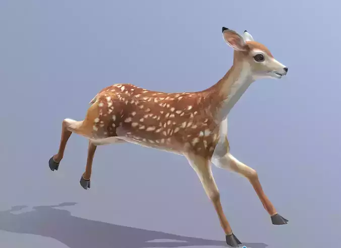LITTLE DEER RUNNING Fbx Pbr Animated