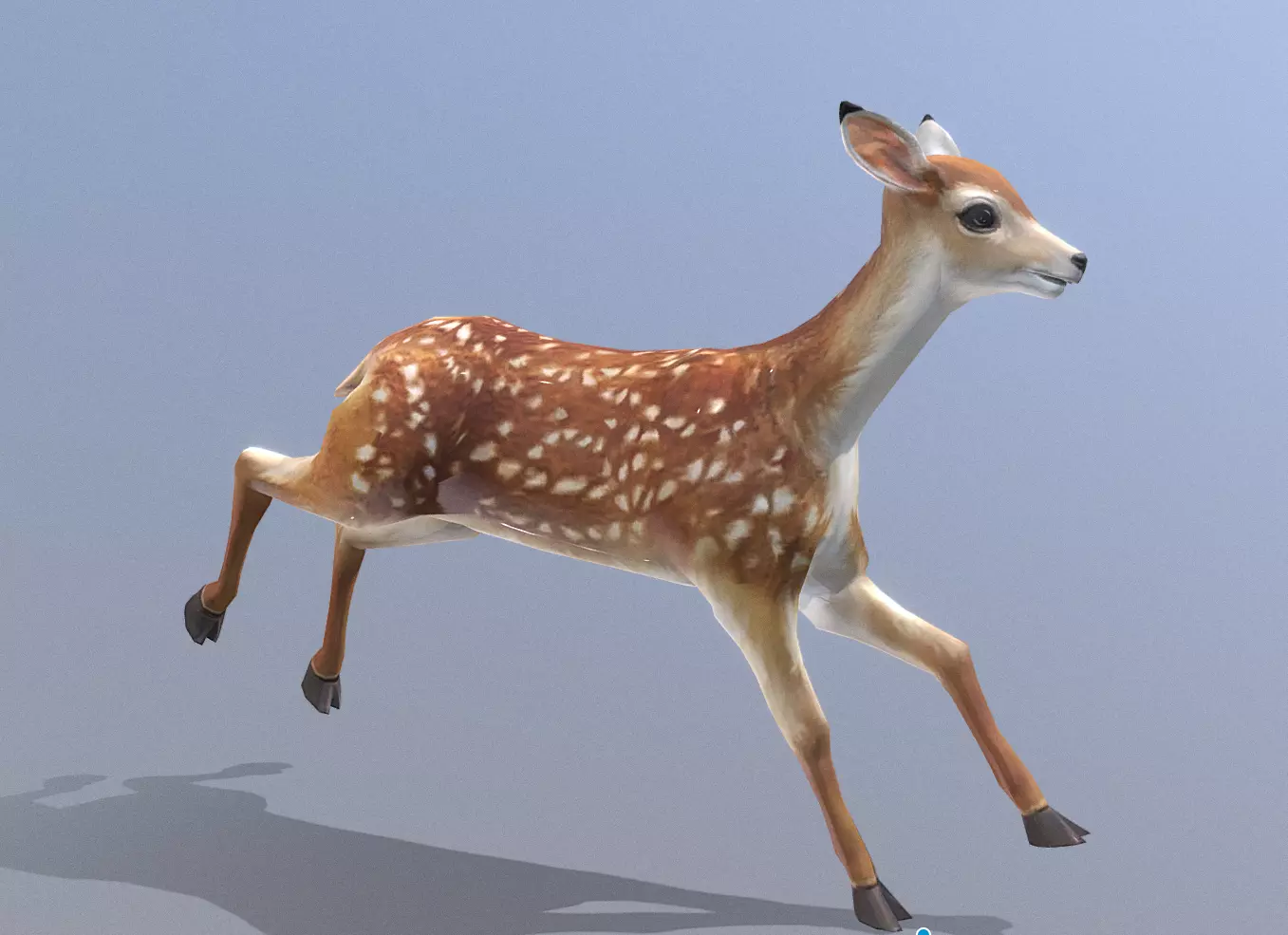 LITTLE DEER RUNNING Fbx Pbr Animated 3D model_0