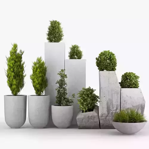 Concrete pot plant set