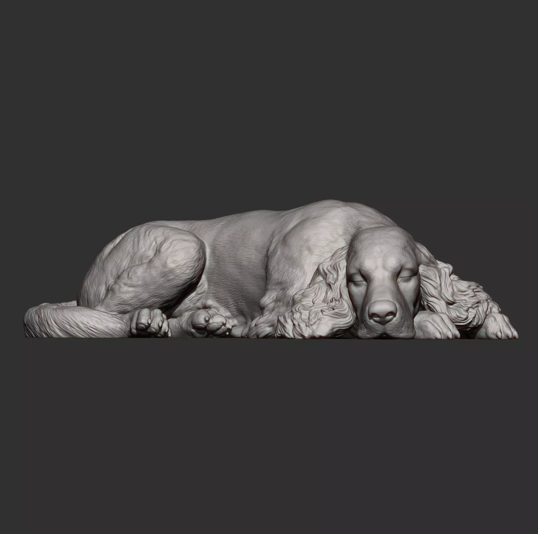 English Cocker Spaniel sleeping 3D print model_13