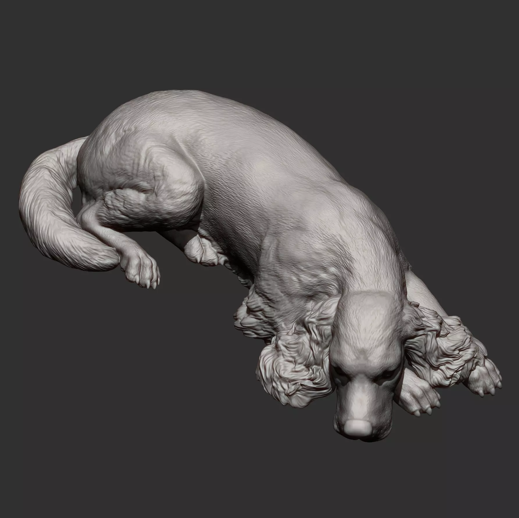 English Cocker Spaniel sleeping 3D print model_14