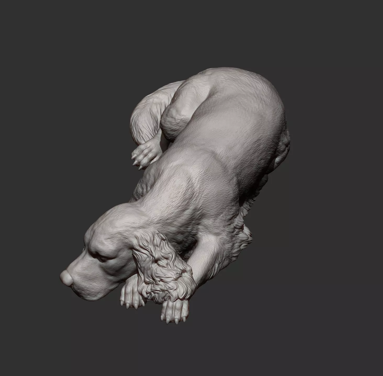 English Cocker Spaniel sleeping 3D print model_11