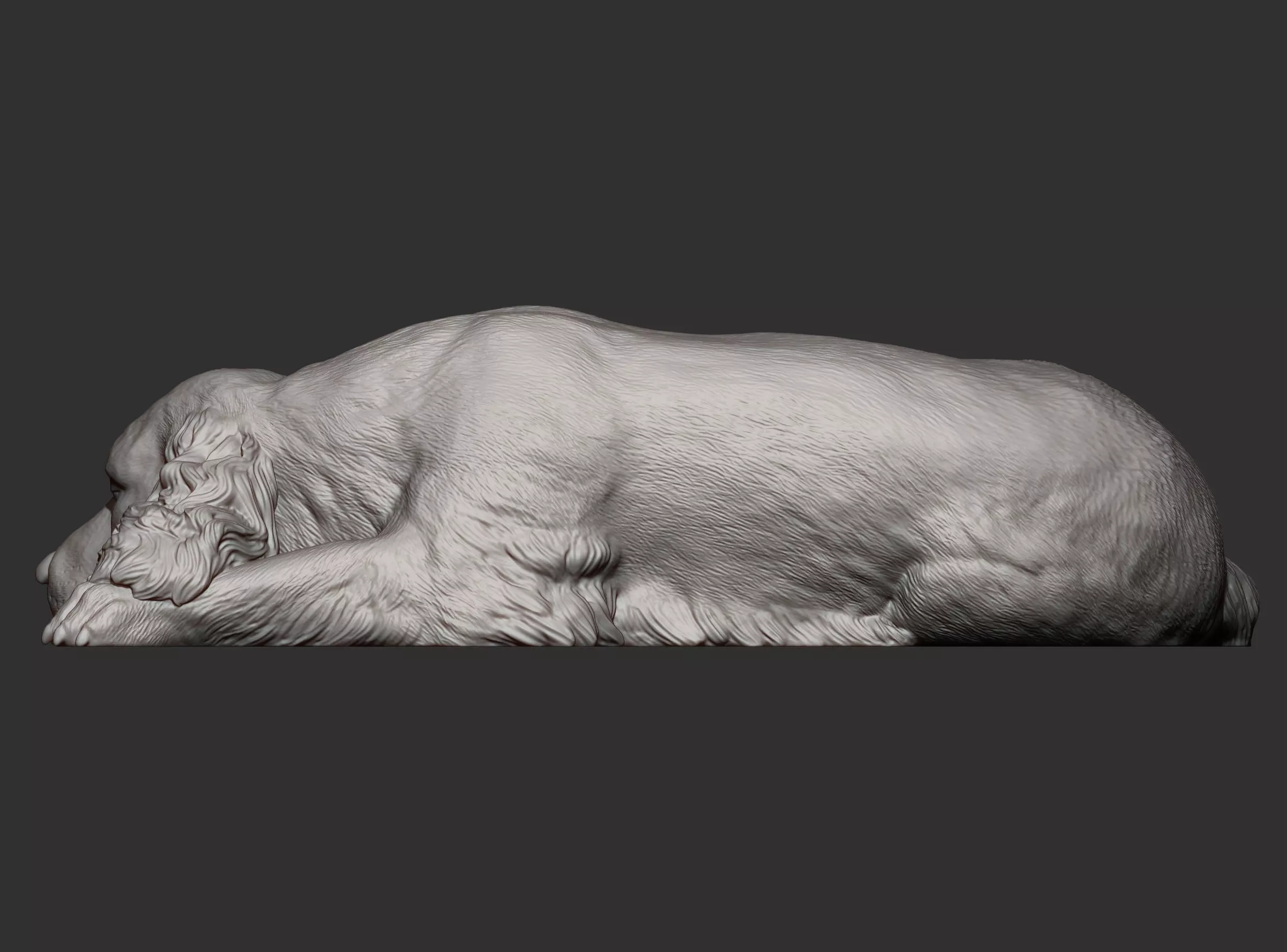 English Cocker Spaniel sleeping 3D print model_8