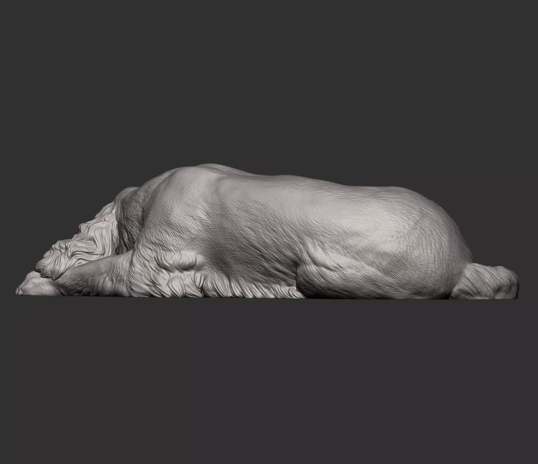 English Cocker Spaniel sleeping 3D print model_10