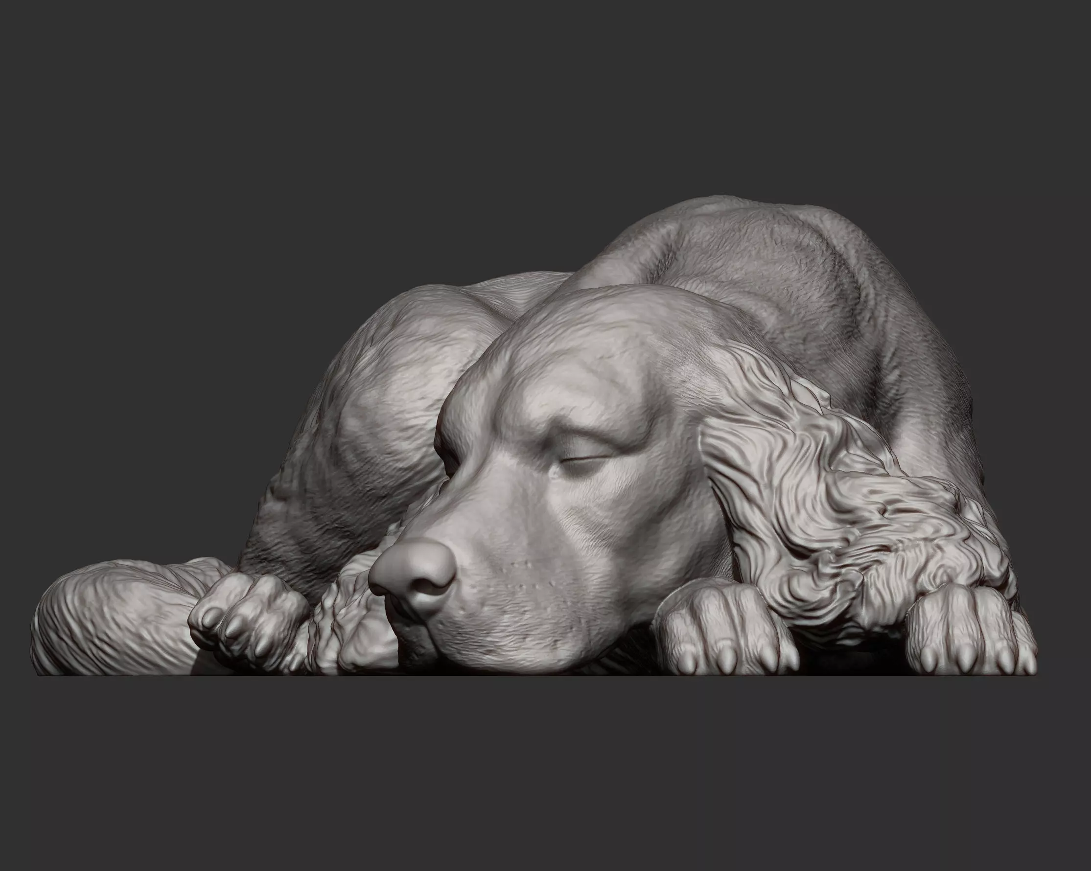 English Cocker Spaniel sleeping 3D print model_16