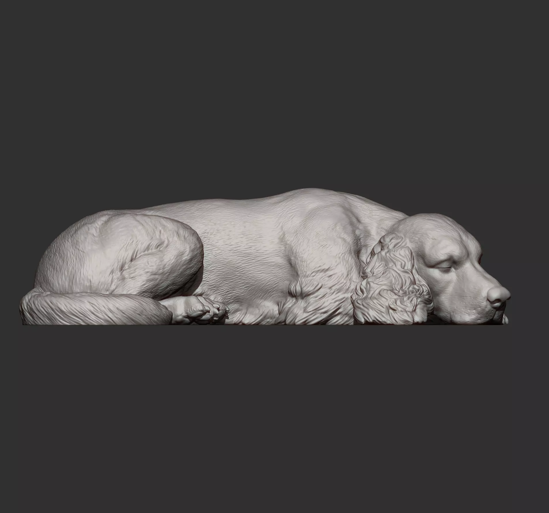 English Cocker Spaniel sleeping 3D print model_12
