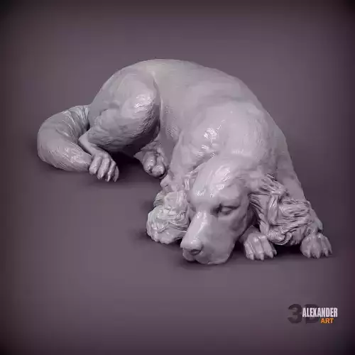 English Cocker Spaniel sleeping