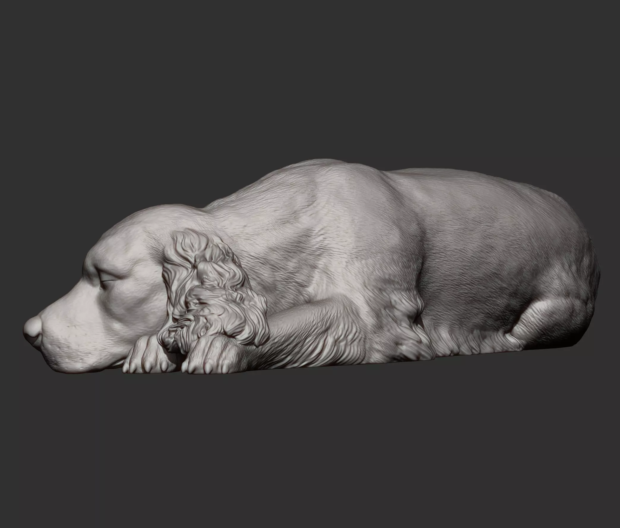 English Cocker Spaniel sleeping 3D print model_15