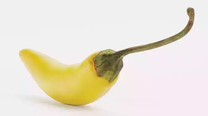 Yellow Chilli Pepper - Realistic Spicy Food Prop 3D model 7