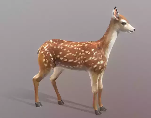 LITTLE DEER IDLE Fbx Pbr Animated