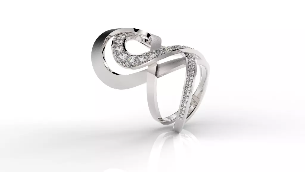 Jewelry Ring Hera Double 3D print model_0