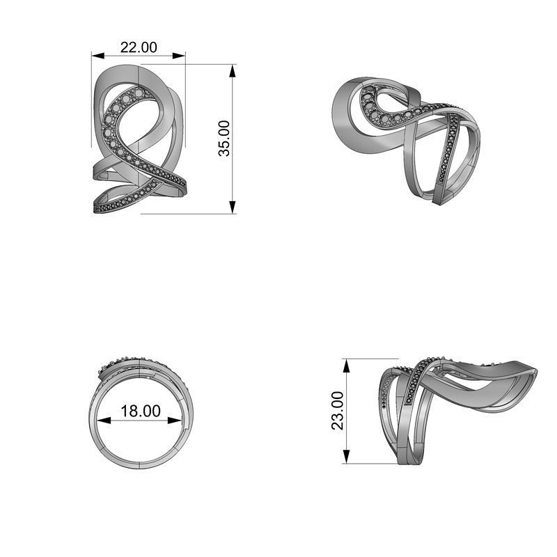 Jewelry Ring Hera Double 3D print model_1