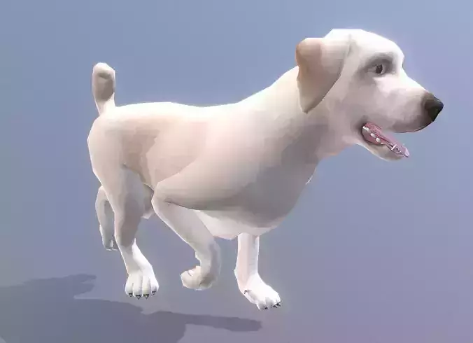 LABRADOR DOG TROT WALK Fbx Pbr Animated