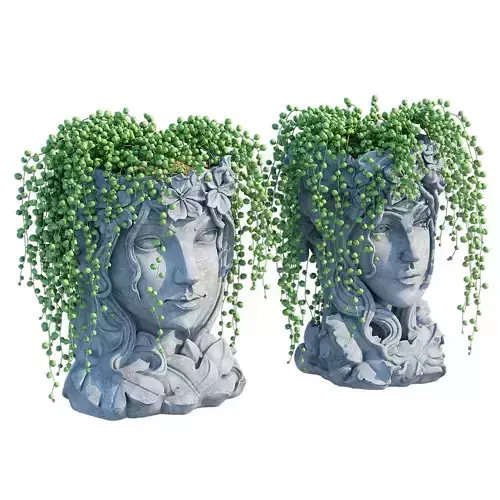 Head planter two