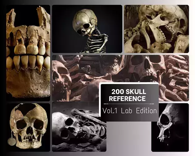 200 Skull Reference - Vol1