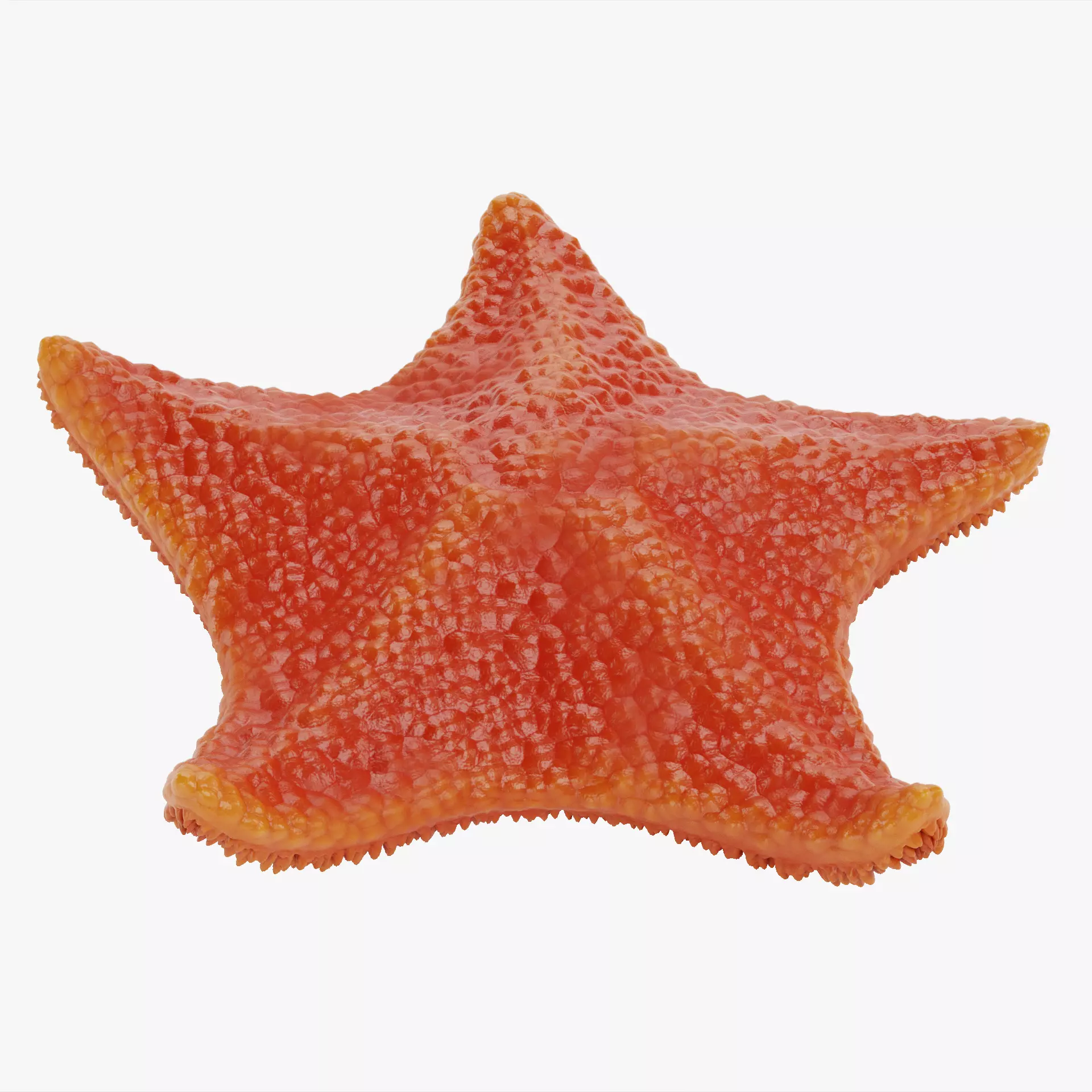 -Bat Starfish Red Rigged- 3D model_16