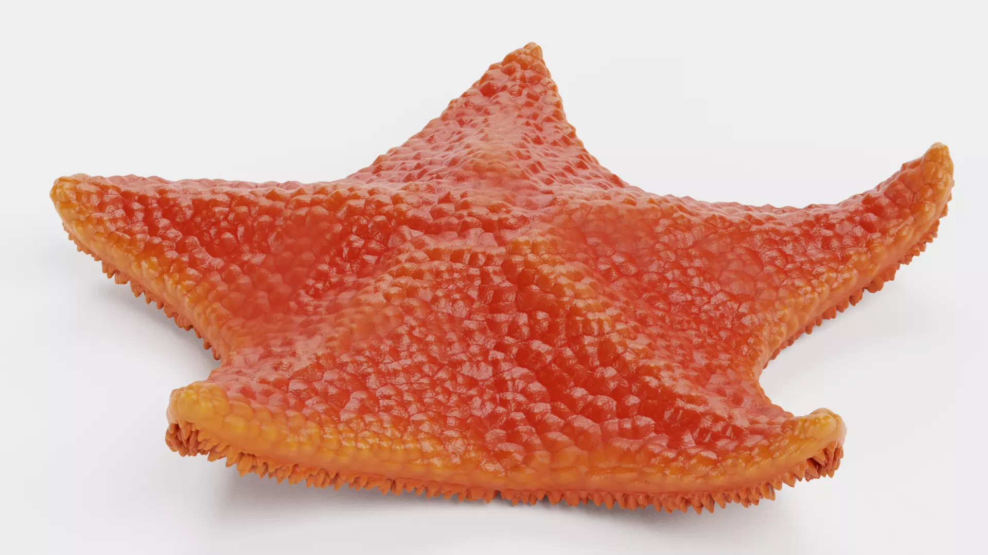 -Bat Starfish Red Rigged- 3D model_4