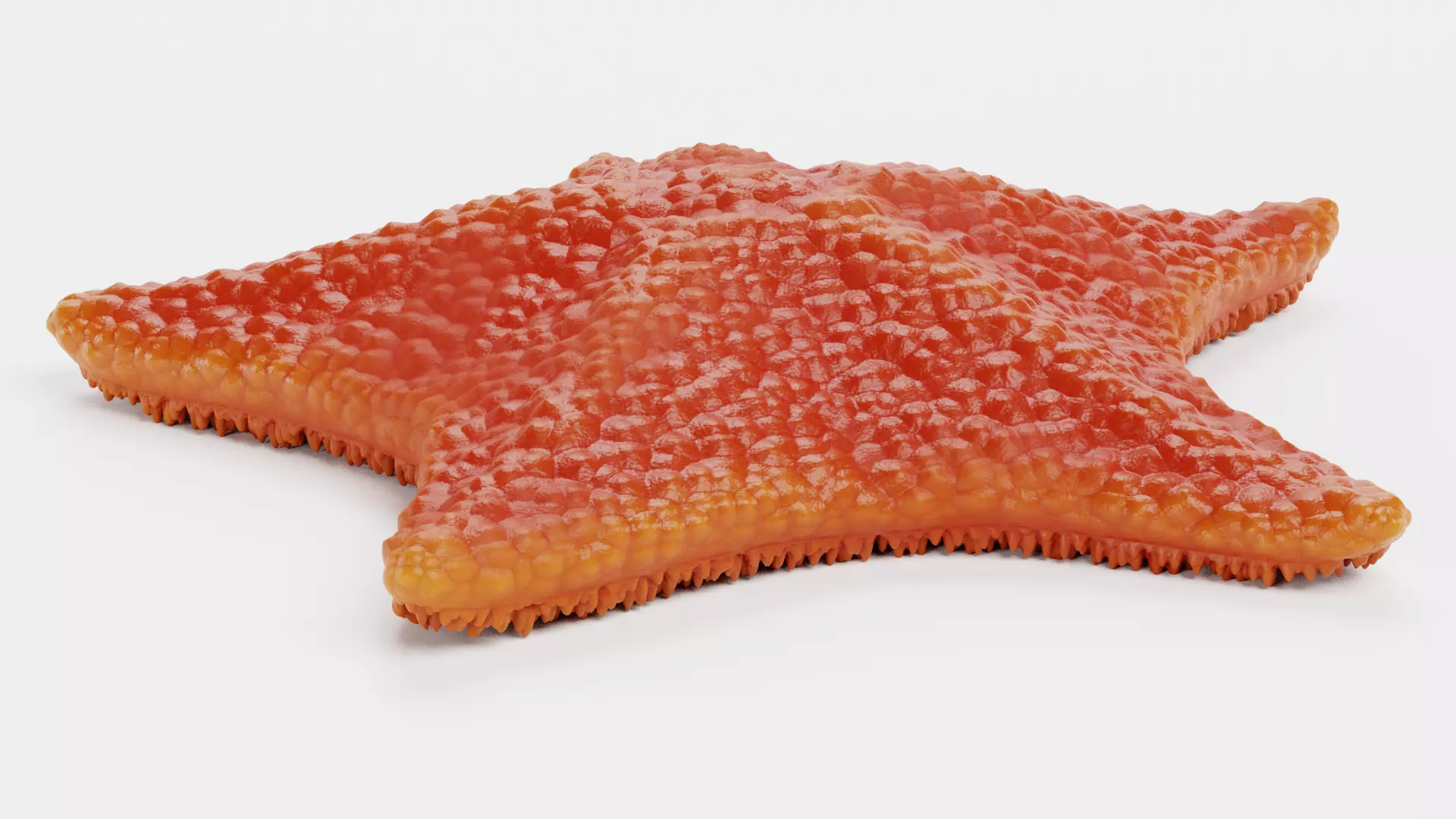 -Bat Starfish Red Rigged- 3D model_6