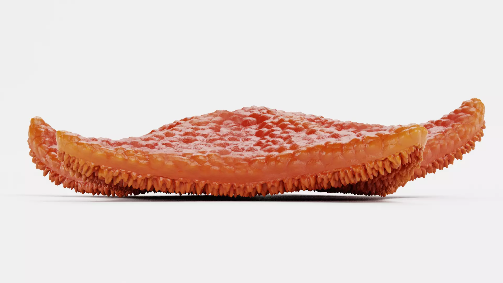 -Bat Starfish Red Rigged- 3D model_5